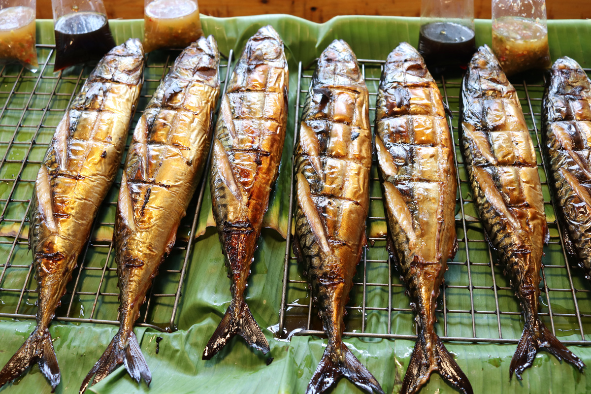 Saba fishes grilled on grate.